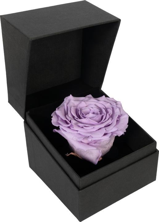 Migros Ostschweiz Rose Premium (Rose stabilisée) en coffret cadeau (Fleurs à l'infini)