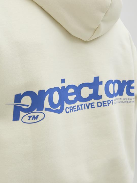 Immagine prodotto Jack & Jones Jcounion Print Sweat Hood Noos (L)