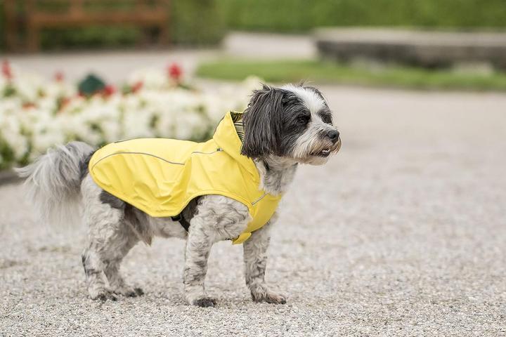 Image du produit Chiara Scotty (L, Manteau pour chien)