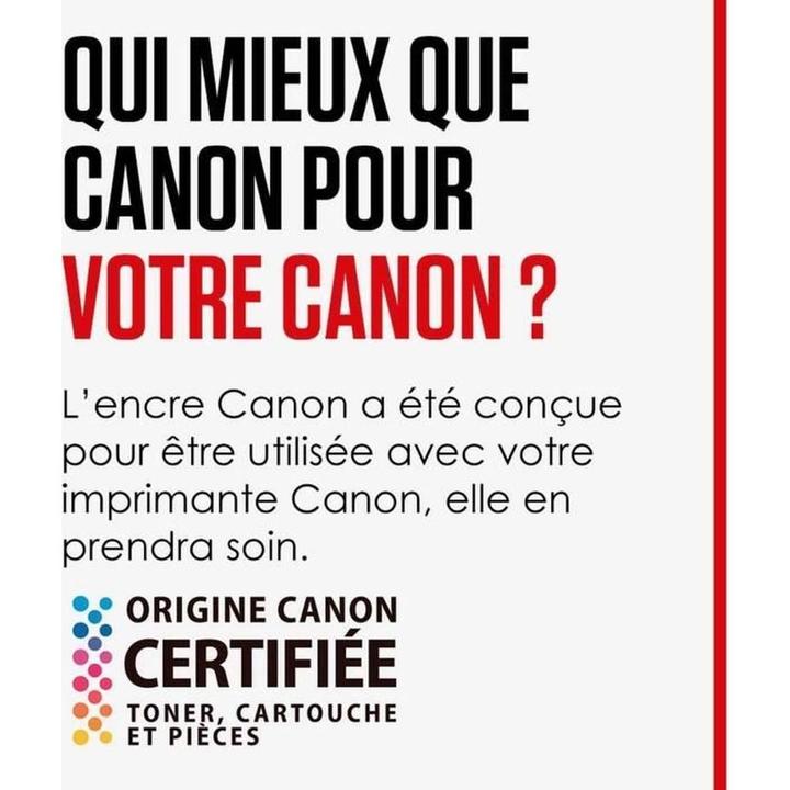 Actual product image Canon Cli-551xl (GY)