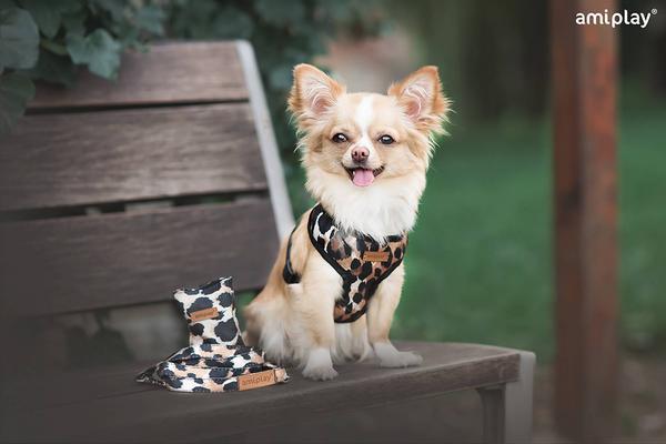 Produktbild amiplay Geschirr Scout Safari, S max 28 x 33-48 cm, Leopard (S, Hund, Allgemein)