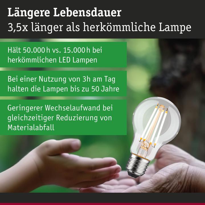 Produktbild Paulmann AGL Eco-Line (E27, 5.70 W, 1055 lm, 1 x, B)