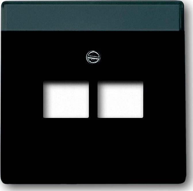 Actual product image Busch-Jaeger Central disk