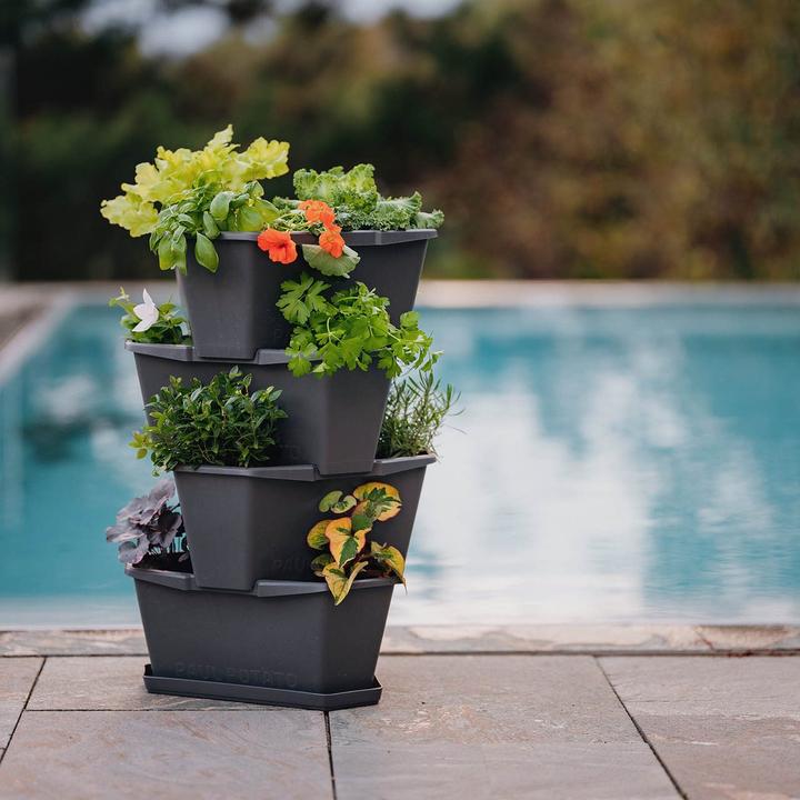 Actual product image Gusta Garden PAUL POTATO Starter Coaster