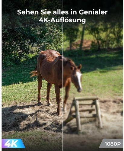 Immagine prodotto Reolink GO PT Ultra (3840 x 2160 pixel)