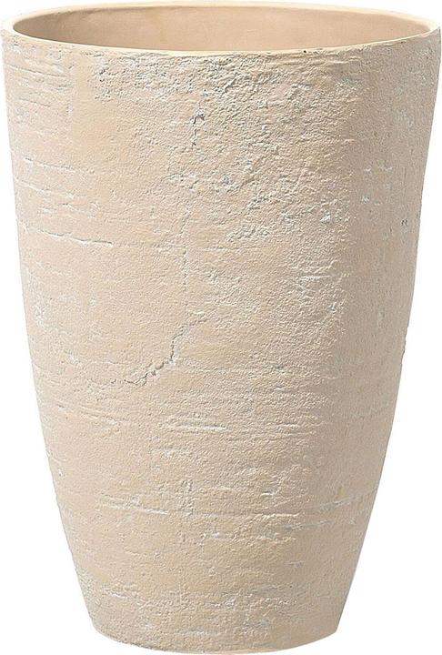 Produktbild Beliani Camia (43 x 60 cm)