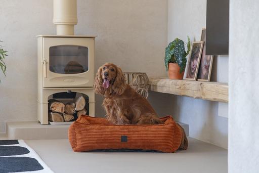 Actual product image Designed by Lotte Ribbed (Dog)