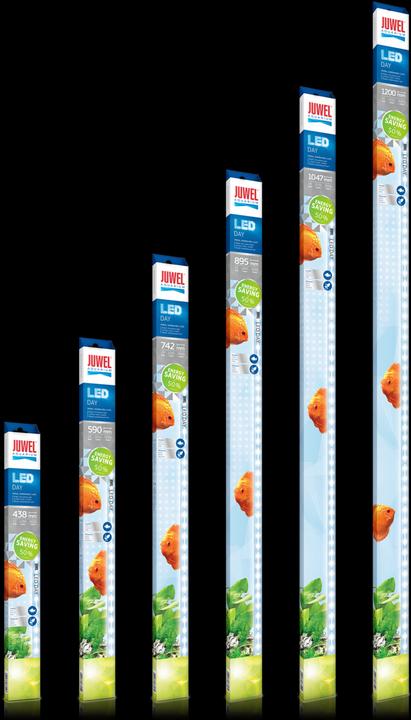 Actual product image Juwel Aquarium Day (LED, 12 W)