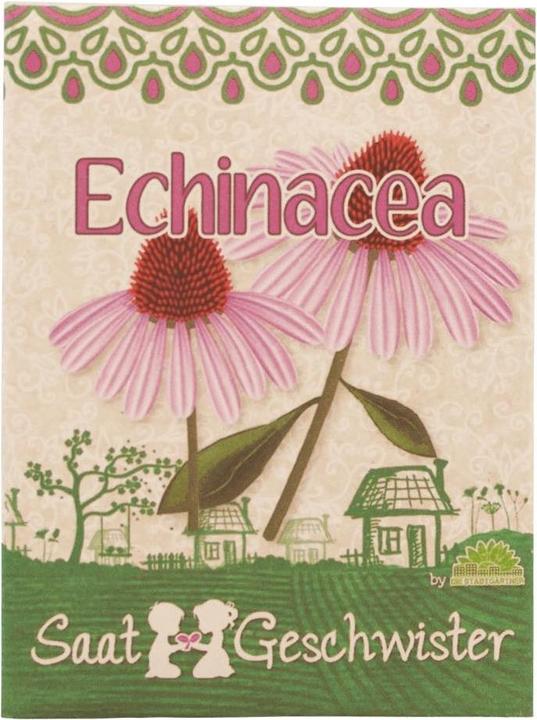 Saatgeschwister Echinacea mini garden (Flower seeds)