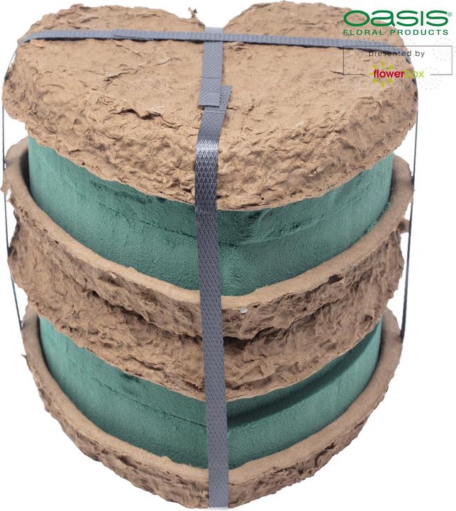 Produktbild Oasis BIOLIT Herzen