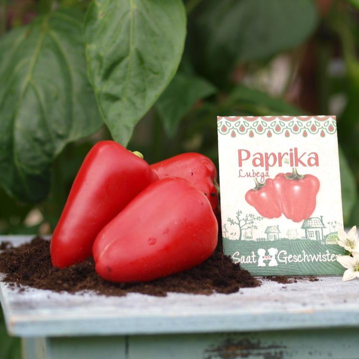Actual product image Saatgeschwister Mini garden peppers (red) (Vegetable seeds)
