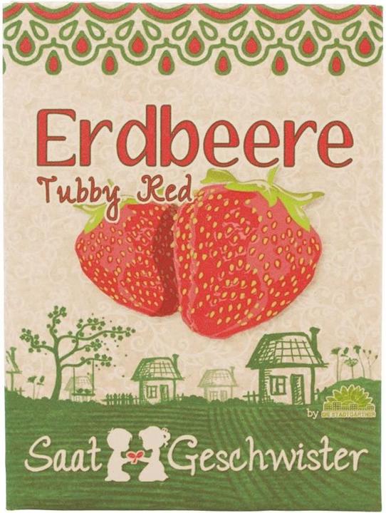 Saatgeschwister Mini garden strawberry (red) (Fruit seed)
