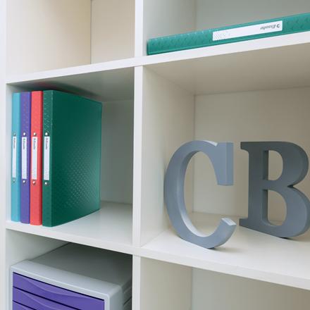 Actual product image Esselte Ring binder (A4, 27 mm, 12 pcs.)