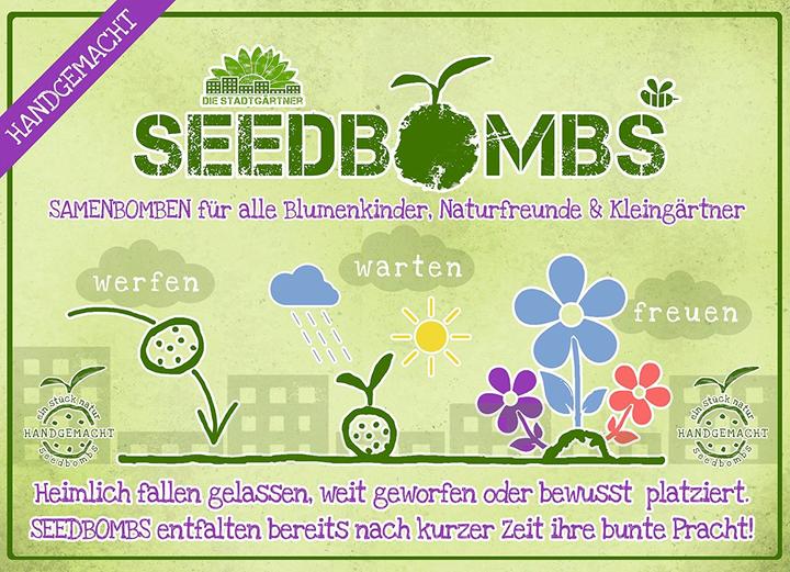 Produktbild Die Stadtgärtner Samenbomben Wilde Wiese (Rasensamen)