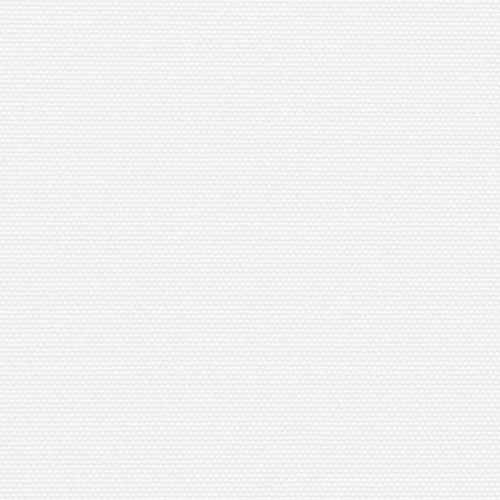 Image du produit vidaXL ausziehbare Seitenmarkise (12 m)