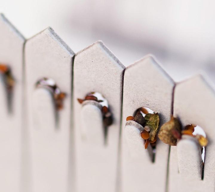 Produktbild Steckling Kräuter (Kräutersamen)