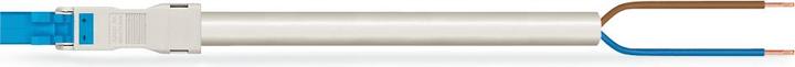 Actual product image Wago confect. Connection cable (4 m)
