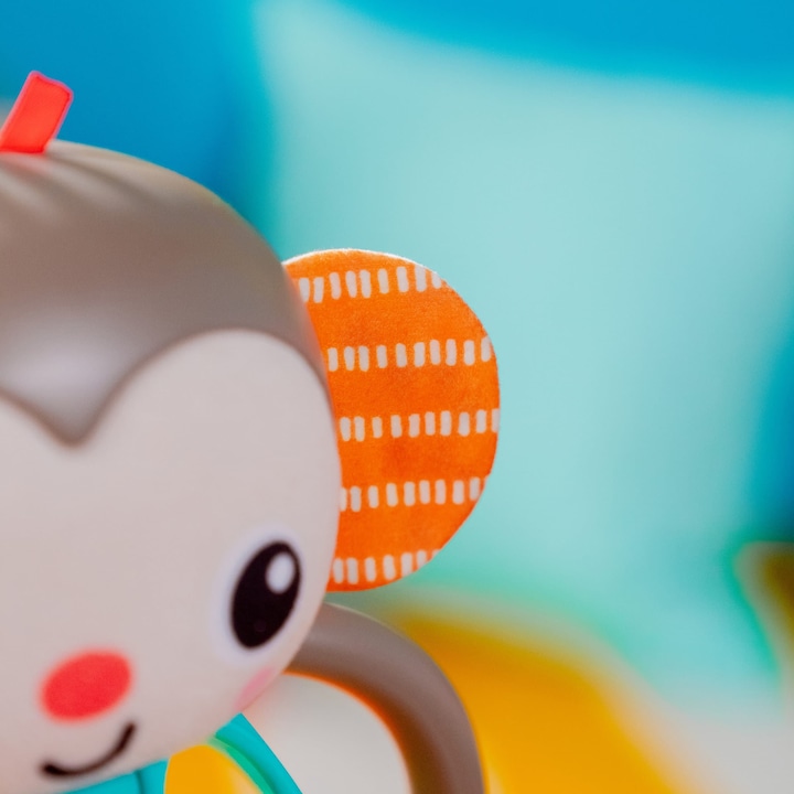 Actual product image Bright Starts Grab n’ Shake Monkey Oball