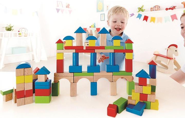 Image du produit Hape Briques de construction en bois de hêtre 100 pièces