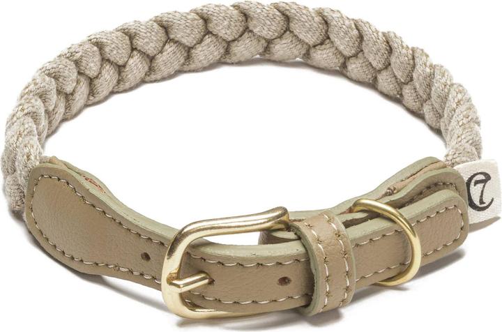 Cloud 7 Blomen (L, Dog)