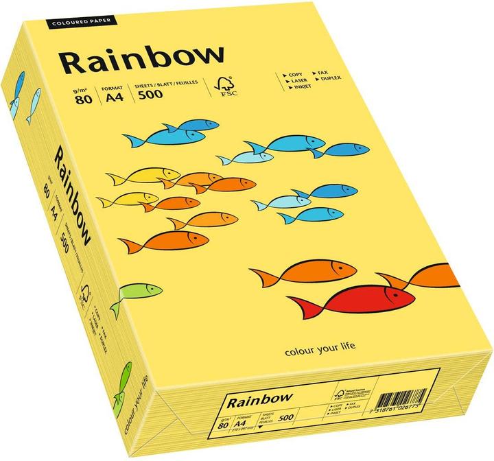 Produktbild Papyrus Rainbow (80 g/m², 500 x, A4)