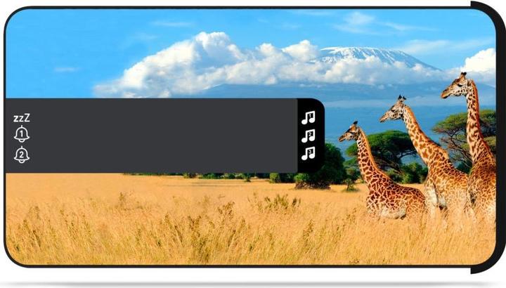 Productafbeelding Bigben Dubbele wekker R16 - Safari
