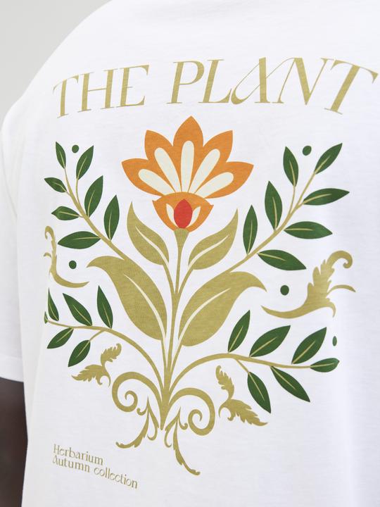 Image du produit Jack & Jones Jorbradley Herbarium Tee Ss C.N Stmss25 (M)