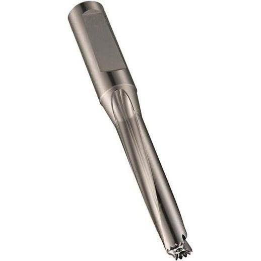Thumbnail - Dormer, Bohrereinsatz, Bohrwechselkopfträger H855 HSS 5 mit Innenkühlung (32 Millimeter)
