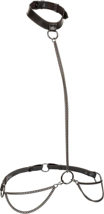 Produktbild CalExotics Euphoria Kettenhalfterhalsband Und Leine