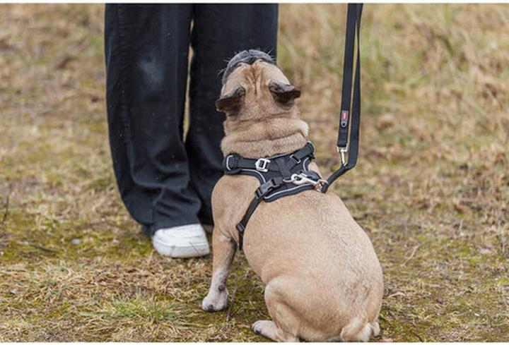 Image du produit Trixie Premium FlexMesh harness, wide fit,L:63–92cm/25mm,black (L, Chien, Général, Promenade)