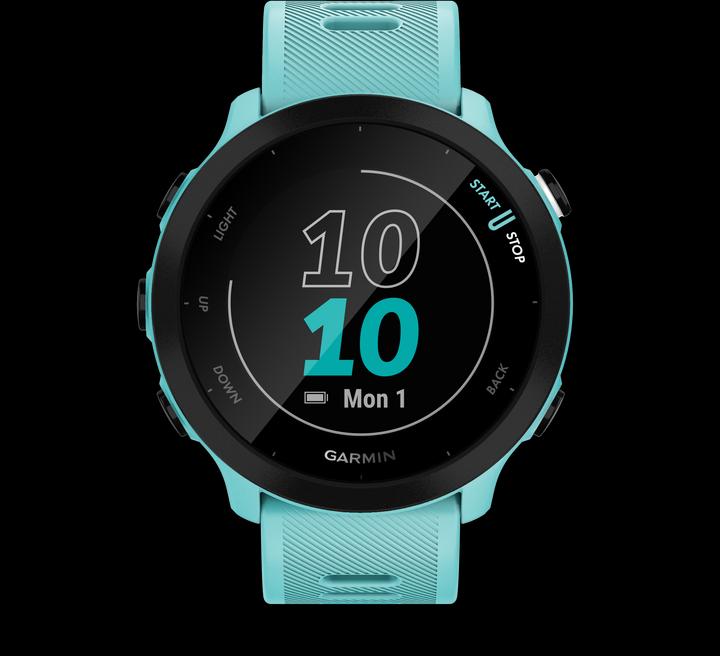 Actual product image Garmin Forerunner 55 (42 mm)