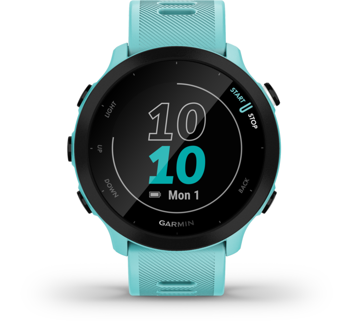 Actual product image Garmin Forerunner 55 (42 mm)