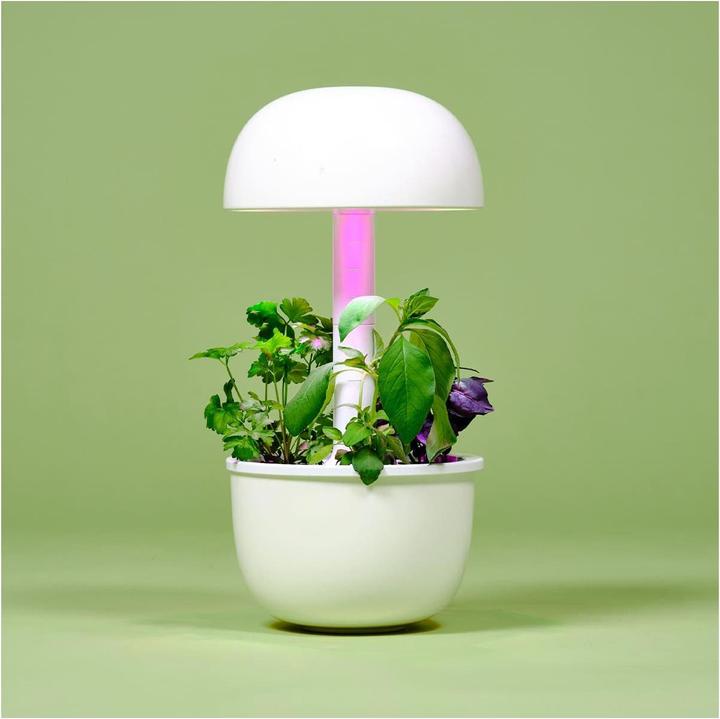 Produktbild Plantui Smart Garden 3e (Keimlinge)