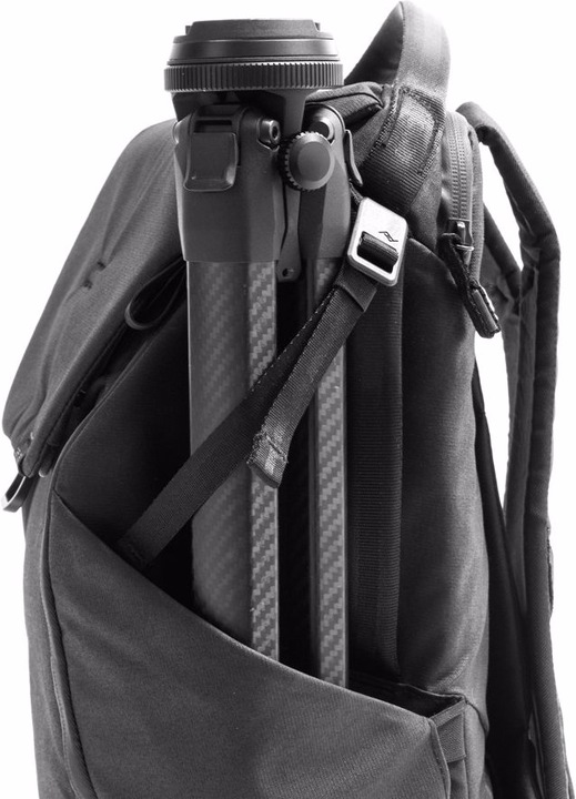 Actual product image Peak Design Everyday Backpack 20L v2 (Photo backpack, 20 l)