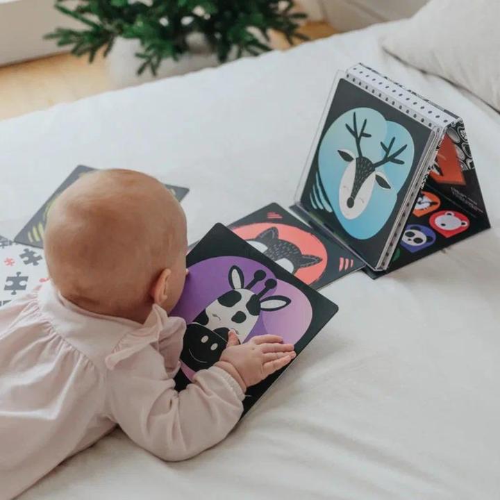 Produktbild DoerKids Tummy Time Bodenspiegel + Baby Lernkarten (Deutsch, Französisch, Italienisch, Englisch)