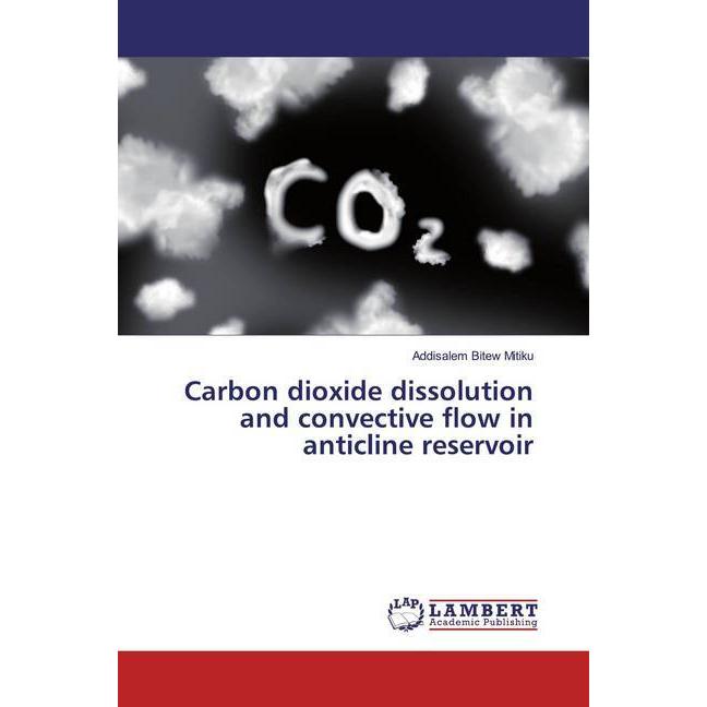 Carbon dioxide dissolution and convective flow in anticline reservoir, Fachbücher von Addisalem Bitew Mitiku