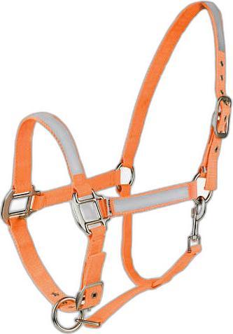 Horze Halter for horse