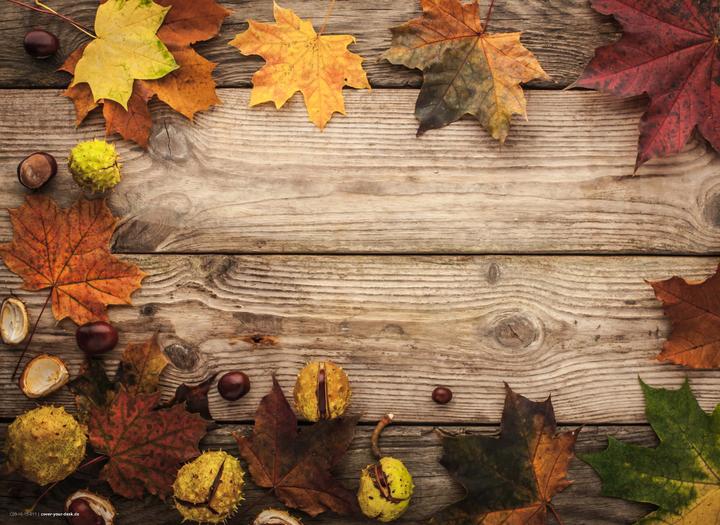 Actual product image CoverYourDesk Maple leaves with chestnuts