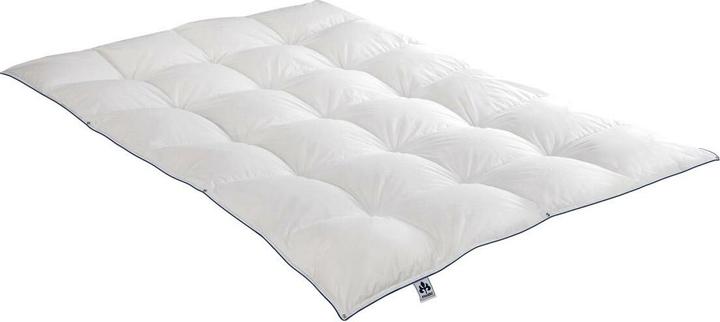 Irisette Down comforter Laura warm, filling: 100% goose down (820 g, 135x200 cm)