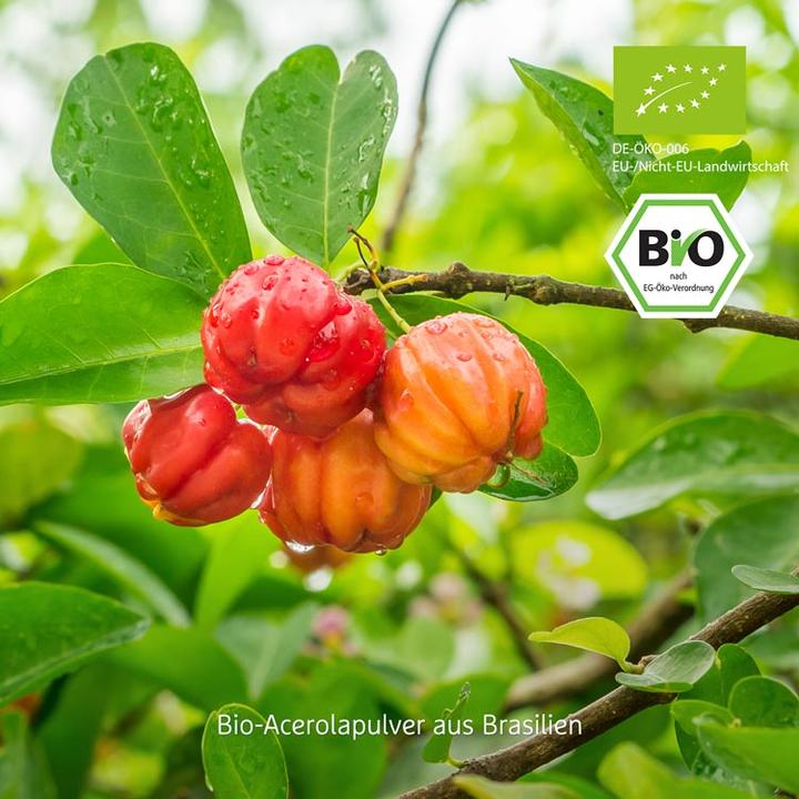 Produktbild Effective Nature Bio Acerola Pulver (1 Stk., Pulver, 200 g)