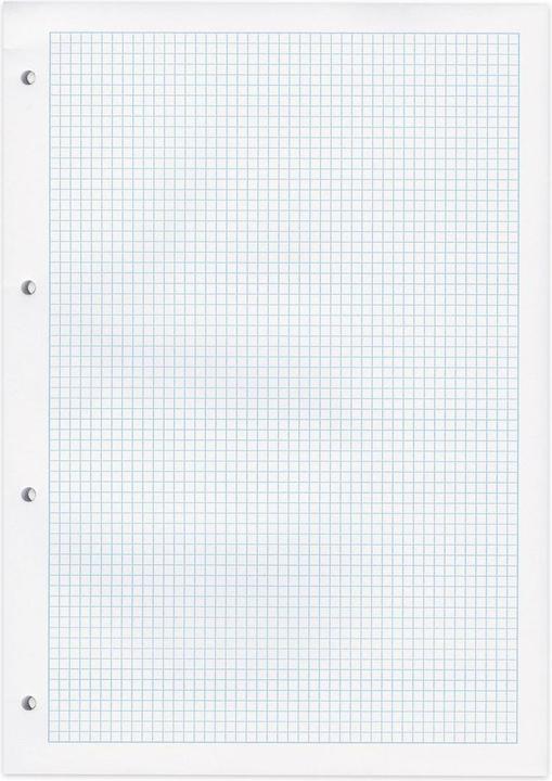 Produktbild Elco Ringbuchblock Office (A4, Kariert)