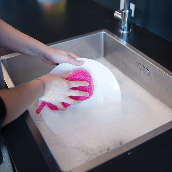 Immagine prodotto Livington Spugna per piatti (5 pz.)