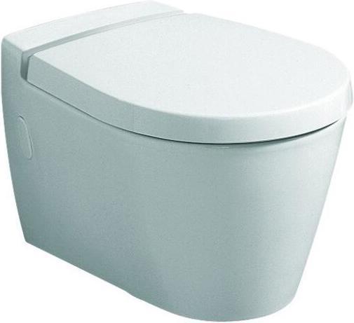 Produktbild Geberit WC-Sitz VISIT m De abnehmbar mit Absenkautomatik weiss