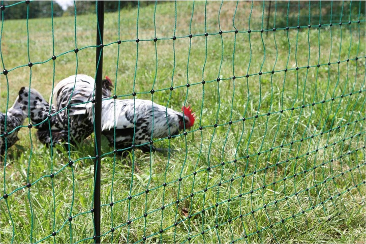 Actual product image AKO Poultry net