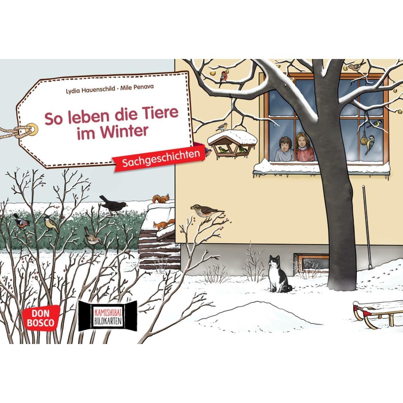 Hauenschild:So leben die Tiere im Winte, Schulbücher von Lydia Hauenschild