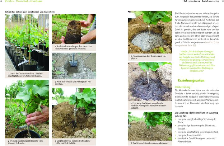 Produktbild Bio-Wein im eigenen Garten (Deutsch, Sonja Schmid, 2021)