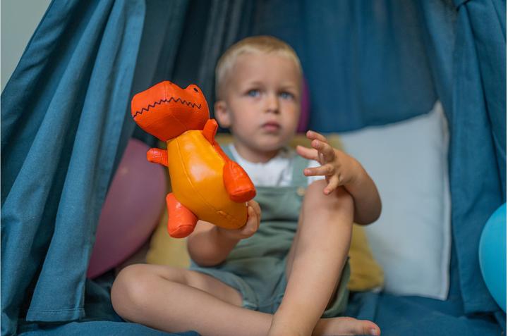 Actual product image Little Big Friends Dino Friends Rex the Tyrannosaurus (25 cm)