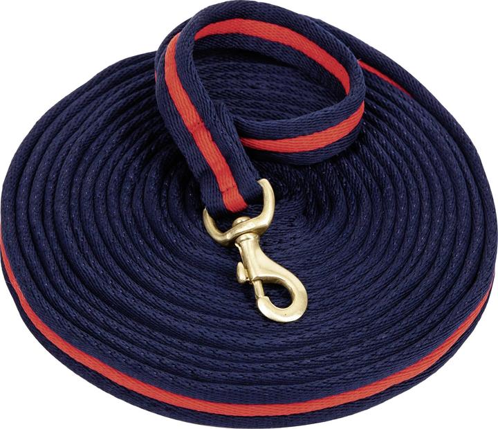 Image du produit Usg Longe équitation de rêne souple