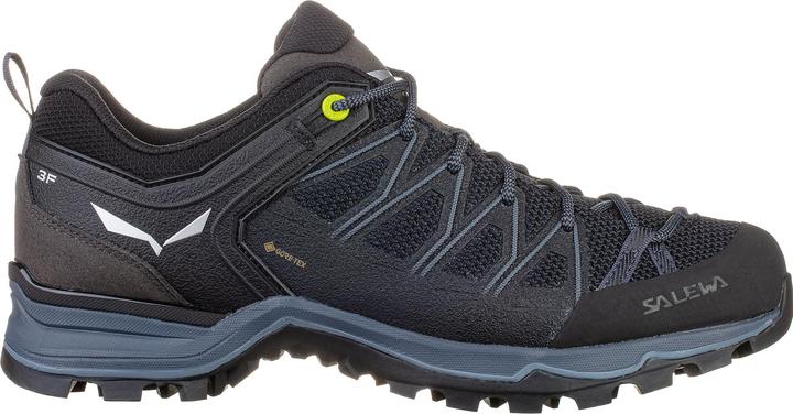 Produktbild Salewa MTN Trainer Lite GTX Schuhe (40)