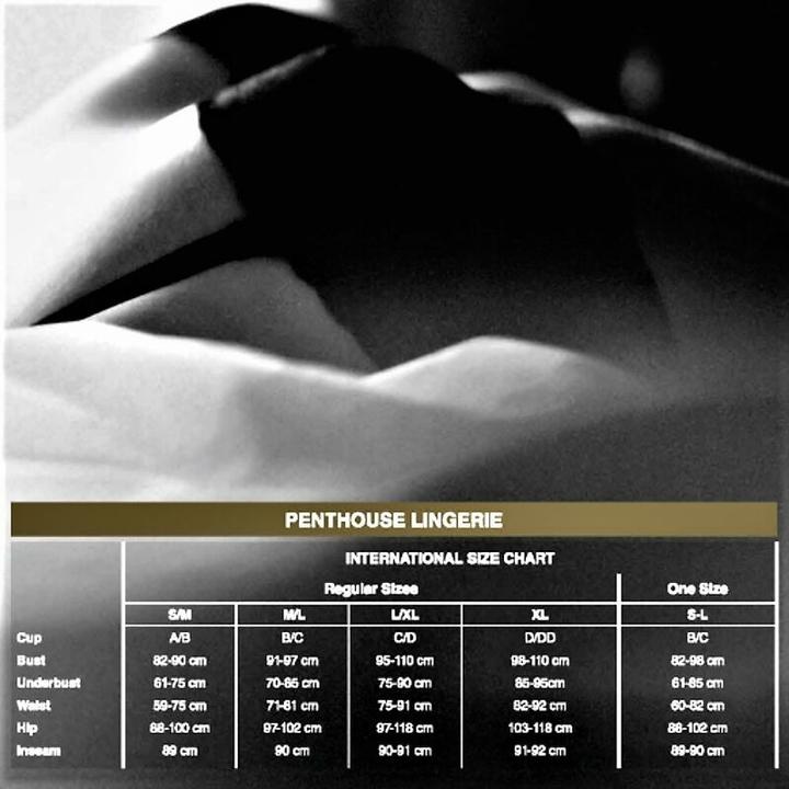 Produktbild Penthouse Lingerie Teddy "Devil's advocate" (XL)